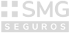 SMG Seguros