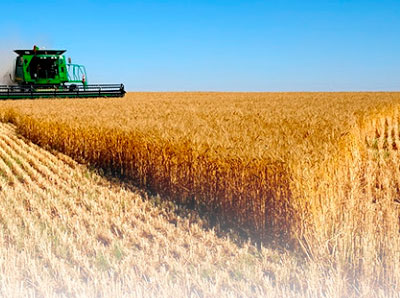 Seguros Agropecuarios